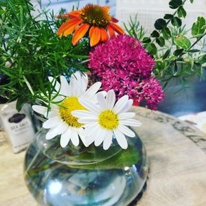 Meet your Posher, Joann